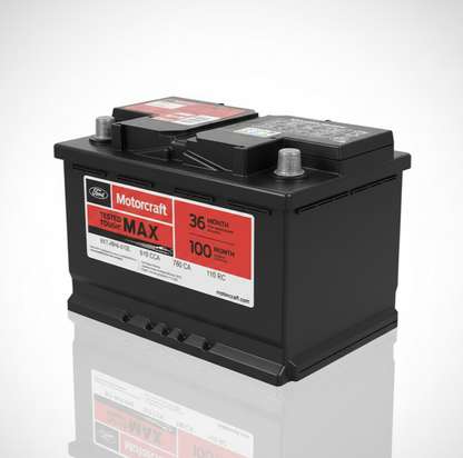 Motorcraft BXT-48H6-610E 3-Years Warranty